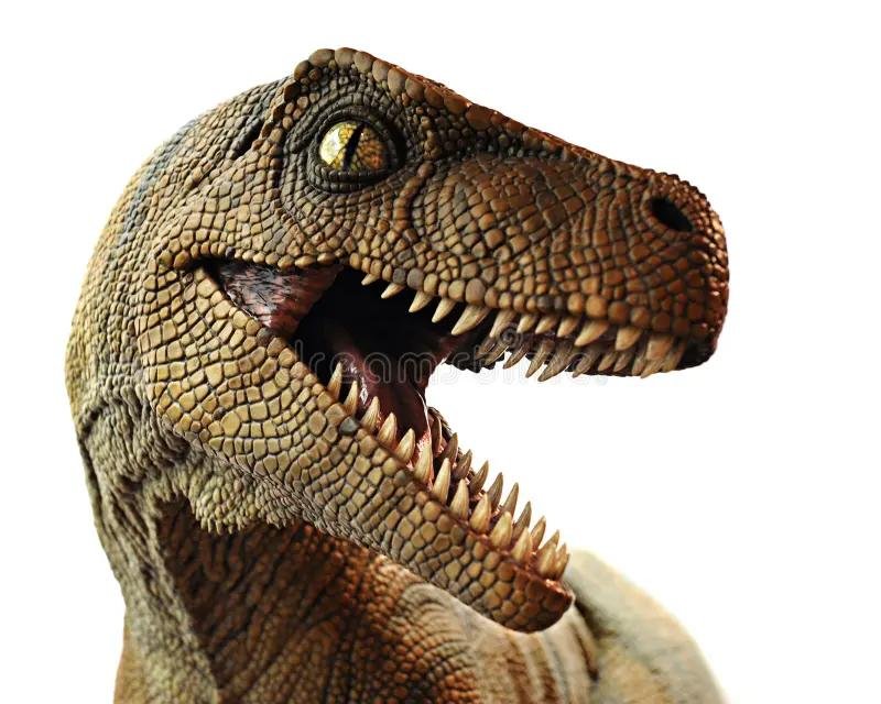 DinosaurTool [ Kg&Mdm& It admin ]