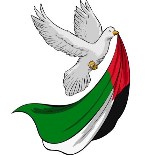 Arab FRP Tool ALUGUEL [6 Hours ] 