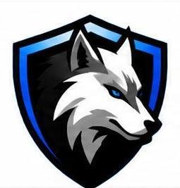HONOR INFO